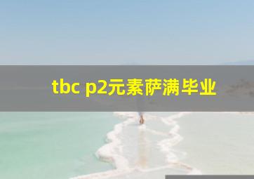 tbc p2元素萨满毕业